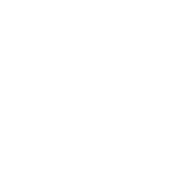 Wild Bills